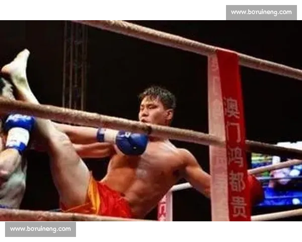 边茂富与柳海龙巅峰对决中国搏击史经典一战全景回顾力量技术意志碰撞