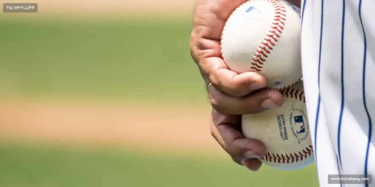 为什么选择我们