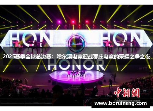 2025赛季全球总决赛：哈尔滨电竞迎战枣庄电竞的荣耀之争之夜